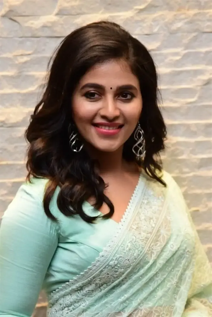 SOUTH INDIAN ACTRESS ANJALI STILLS IN TRADITIONAL LIGHT GREEN SAREE 14